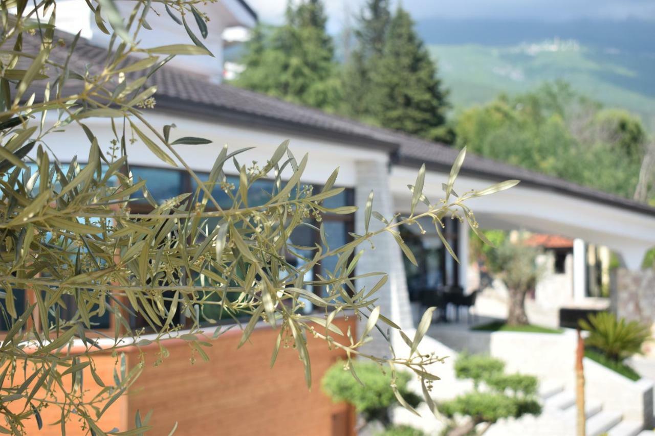Chateau Linza Resort Τίρανα Εξωτερικό φωτογραφία